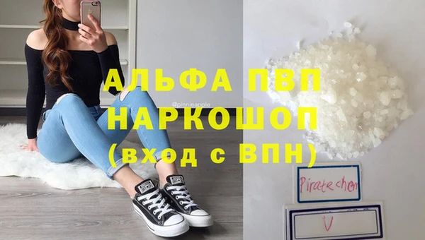 герыч Пересвет