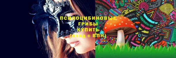 ECSTASY Алексин