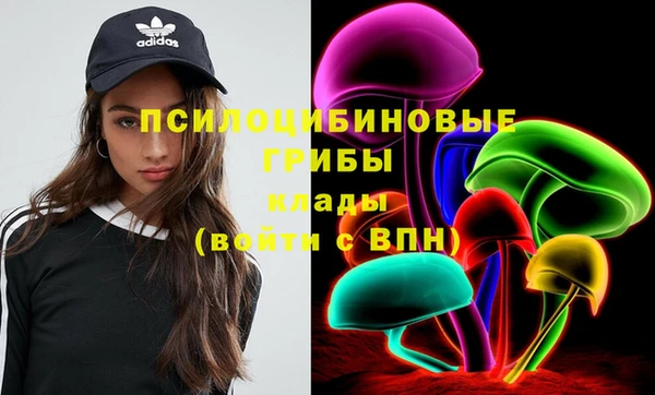 эйфоретик Алексеевка
