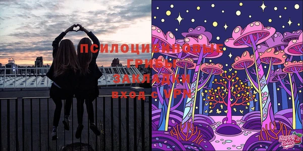 эйфоретик Алексеевка